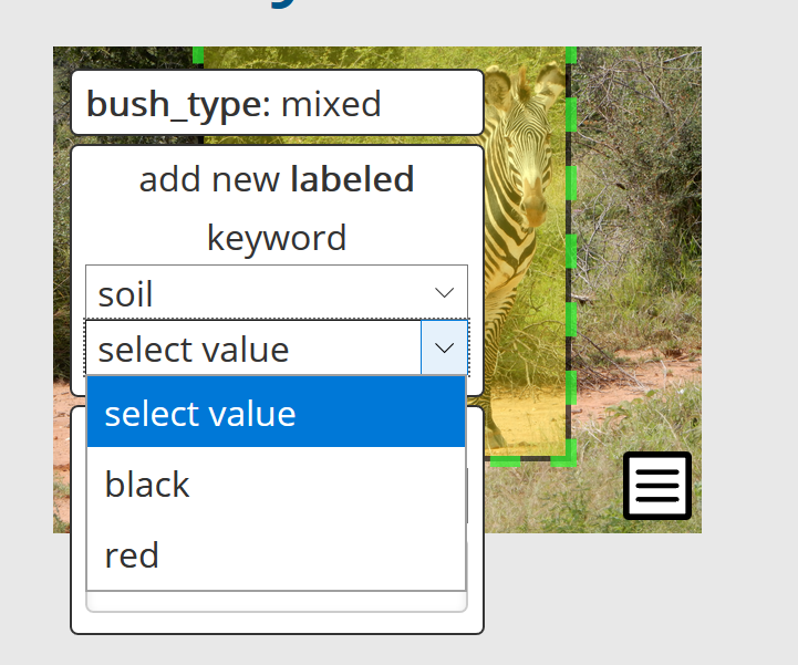 select keyword