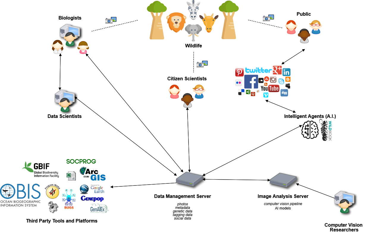 Wildbook ecosystem of people, servers, and AI